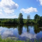 Bellamy River Wildlife Management Area