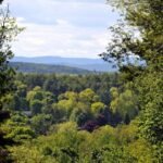 Garrision Hill Tower