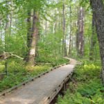 Great Bay National Wildlife Refuge