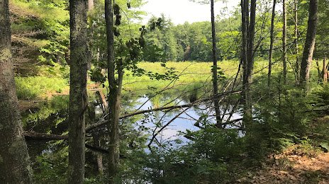 Rockingham Recreational Trail - Fremont Branch