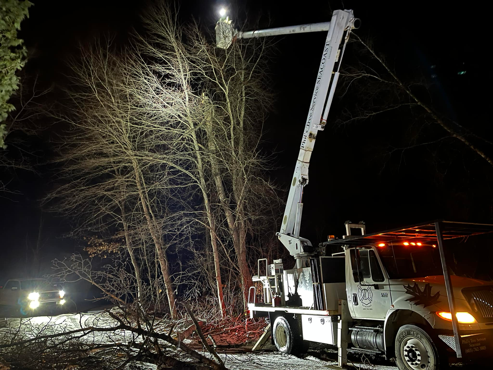crane assisted tree removal
