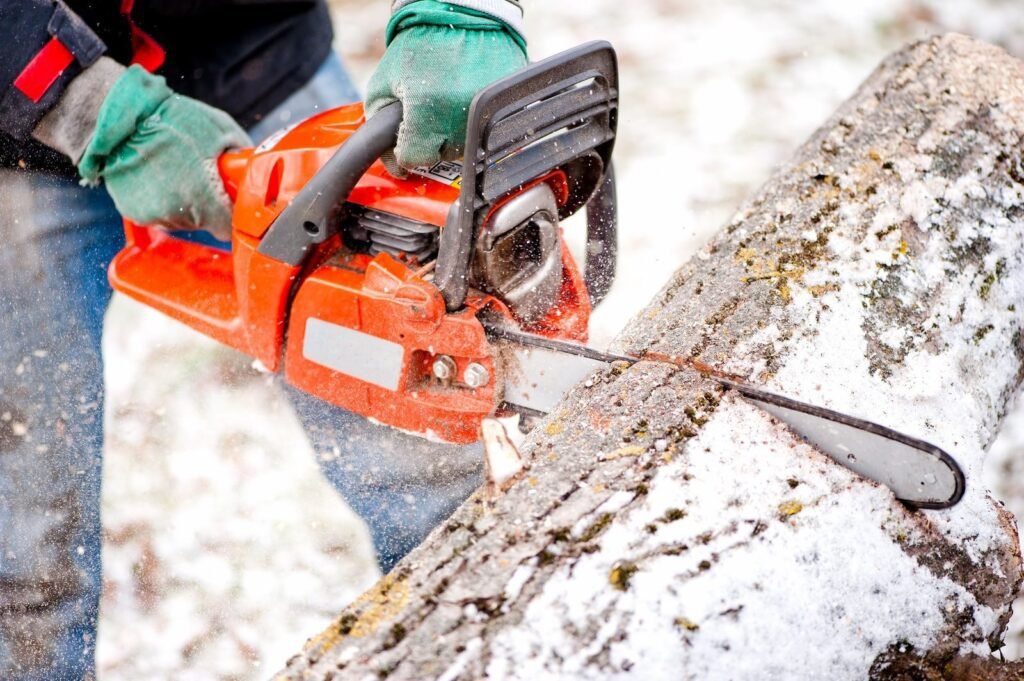 men cutting a tree with a chainsaw during winter