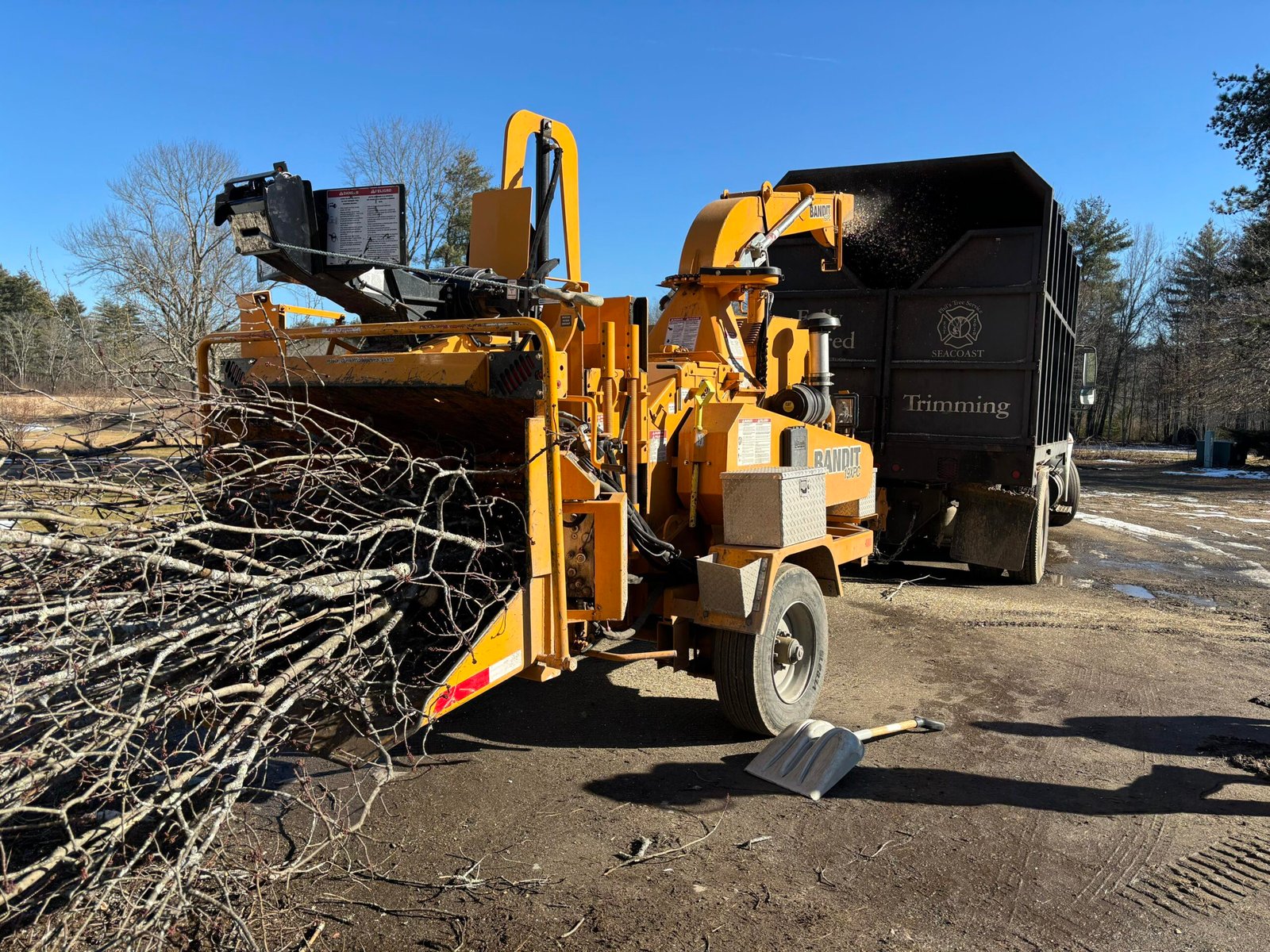 Brush chipper converting tree branches into wood chips