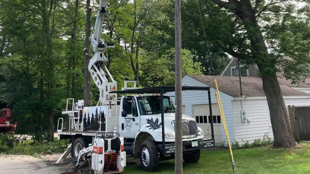 Crane removing a tree