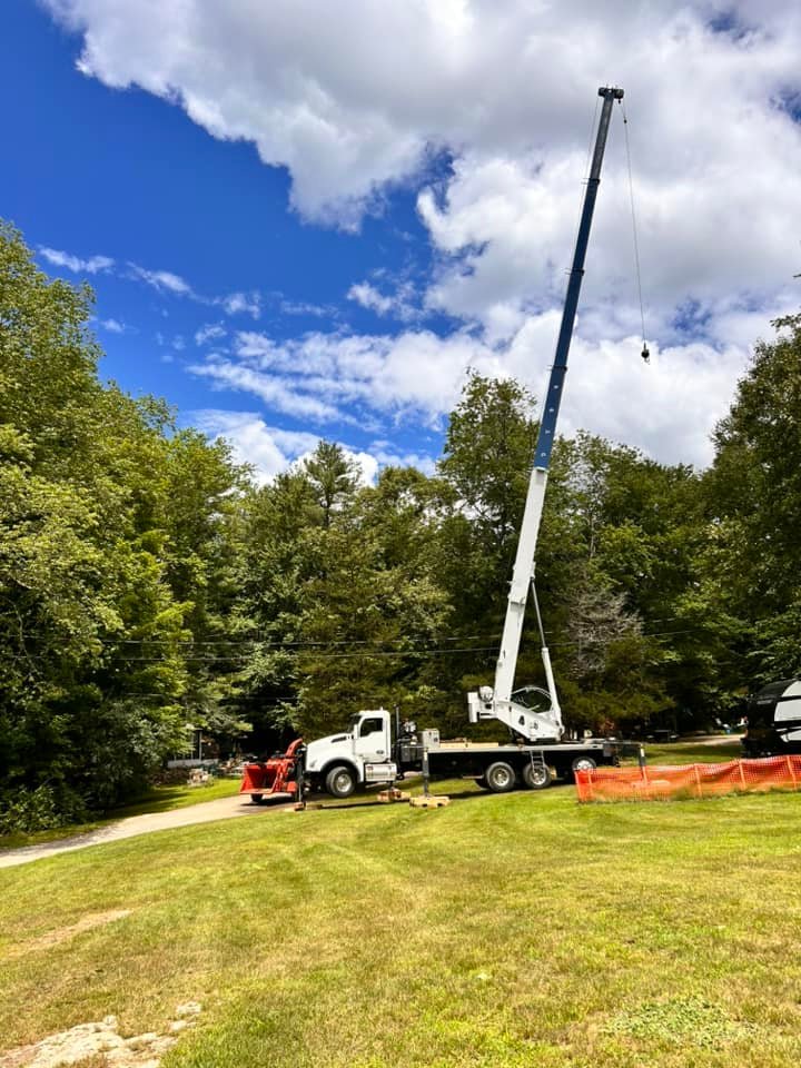 tree crane truck