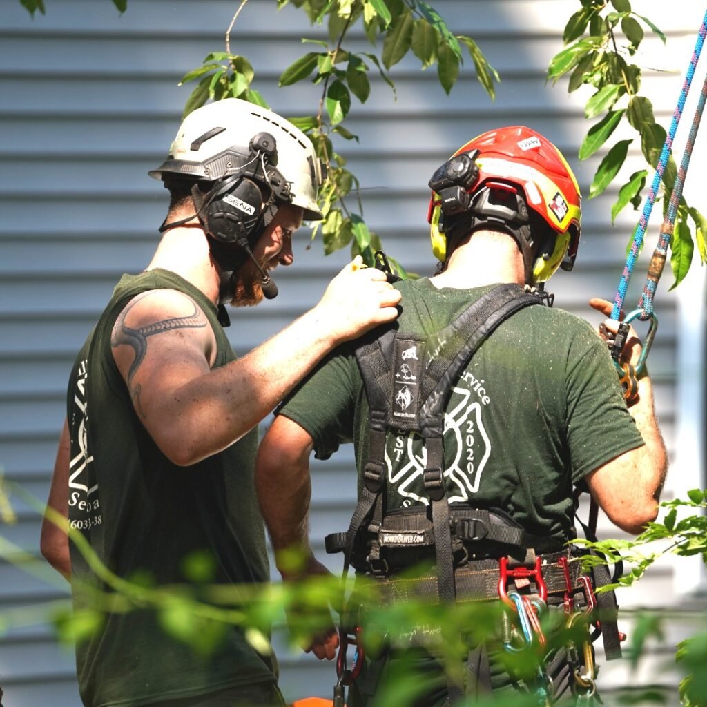 tree care