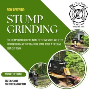 promotional image for stump grinding