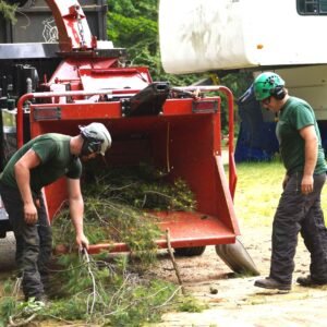 tree removal chipping branches