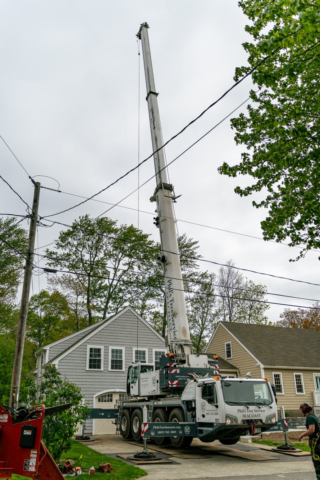 crane phils tree service seacoast