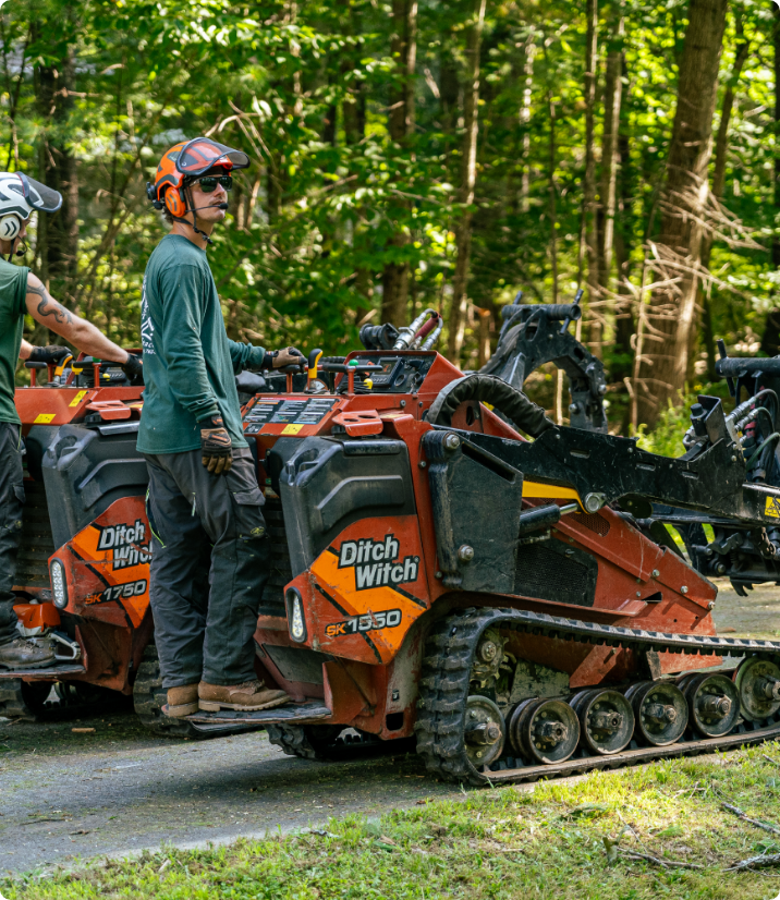 Stump Grinding