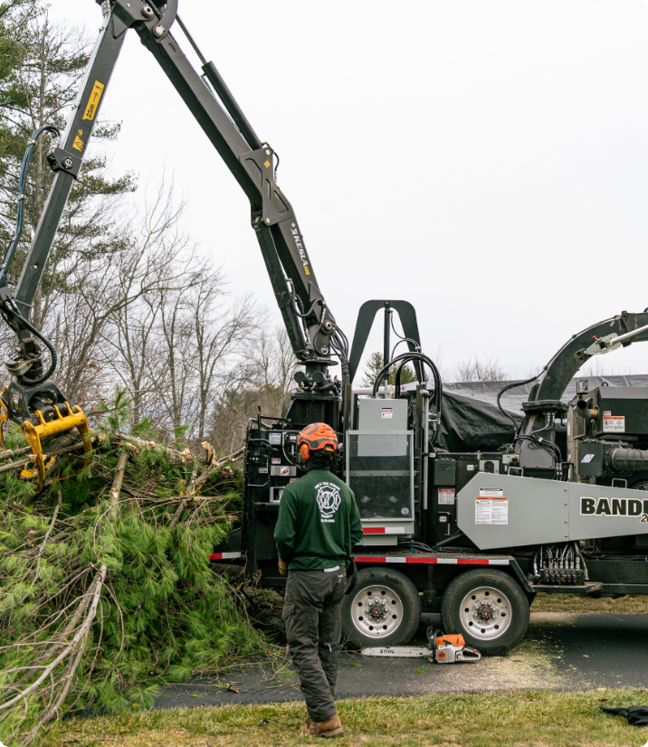 Brush Chipping