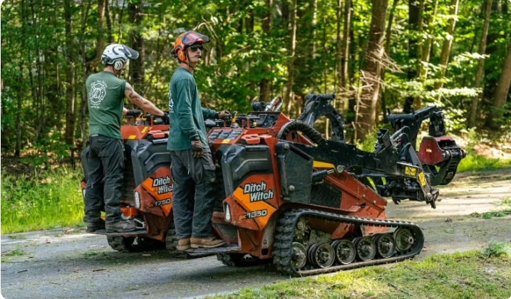 Professional Tree Care Service