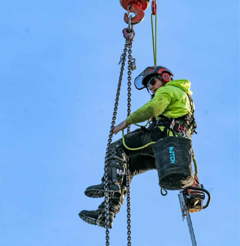 phils tree service lee nh